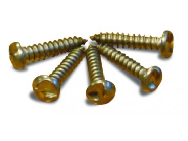 Anti-theft screws  (Pack Size 20)